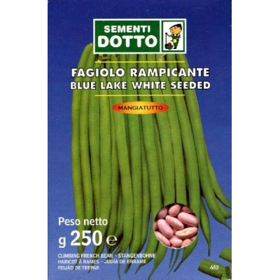 SEMINȚE DE FAGIOLO RAMPICANTE BLUE LAKE SEED WHITE GR. 250