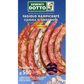 SEMI DI FAGIOLO RAMPICANTE FIAMMA O STREGONTA GR. 500