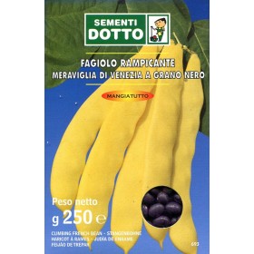 SEMINȚE DE FAGIOLO RAMPICANTE MERAVIGLIA DI VENEZIA GR. 250