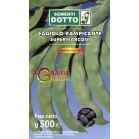 SEMINȚE DE FAGIOLO RAMPICANTE SUPER MARCONI BLACK SEED GR. 500