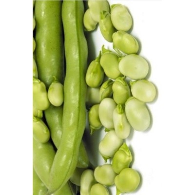 SEMI DI FAVA DA ORTO PER SEME SUPER AGUADULCE GR. 500