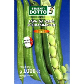 SEMINȚE DE FAVA SUPERAGUADULCE LONG POD KG. 1