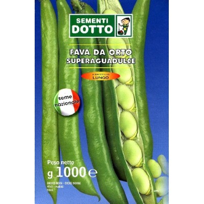 SEMI DI FAVA SUPERAGUADULCE BACCELLO LUNGO KG. 1