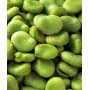 SEMI DI FAVA SUPERAGUADULCE BACCELLO LUNGO SACCO DA KG. 25