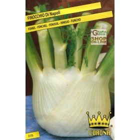 SEMINȚE DE FENICUL DIN NAPOLI