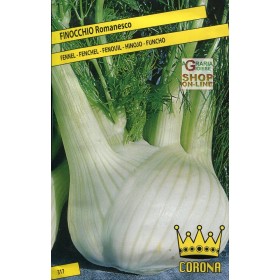 SEMINTE DE FENICUL ROMANESCO