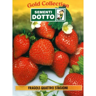 SEMI DI FRAGOLE QUATTRO STAGIONI RIFIORENTI