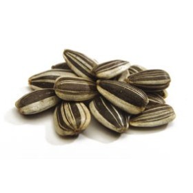 SEMI DI GIRASOLE STRIATO PICCOLO GR. 500