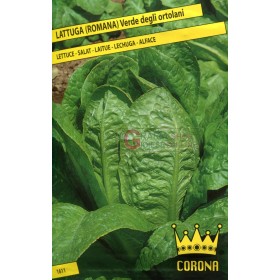 SEMINȚE DE SALATĂ VERDE ROMĂ A ORTuluiOLANI