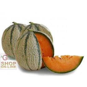 SEMINTE DE PEPENE GALBEN ORTOLANI