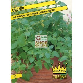 SEMINȚE COMUNE DE OREGANO SEMINȚE COMUNE DE OREGANO