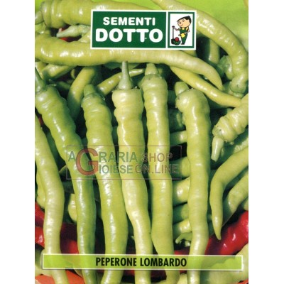 LOMBARDO PEPPER SEMINTE TAGO