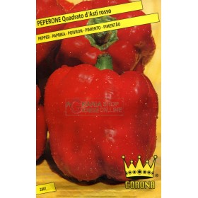 SEMINTE DE PIPER QUADRATOD ASTI ROSU
