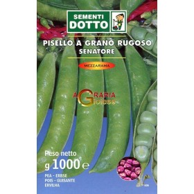 SEMINȚE DE MAZĂRE JUMĂTATE RAMA SENATOR KG. 1