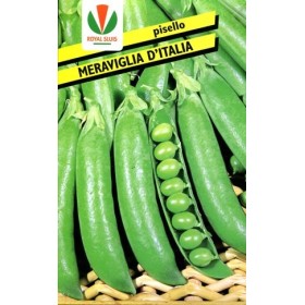 SEMINȚE DE MAZĂRE NANO MERAVIGLIA DI ITALIA GR. 500