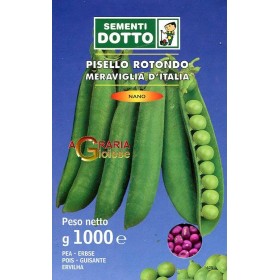 SEMINȚE DE MAZĂRE NANO MERAVIGLIA DI ITALIA KG. 1