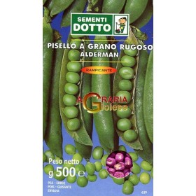 SEMINTE DE MAZARE RAMPICANTE ALDERMAN GR. 500