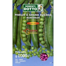SEMI DI PISELLO RAMPICANTE ALDERMAN KG. 1