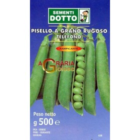 SEMINȚE DE MAZĂRE RAMPICANTE TELEFON GR. 500