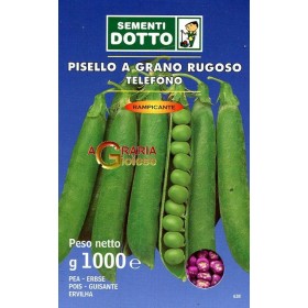 SEMI DI PISELLO RAMPICANTE TELEFONO KG. 1