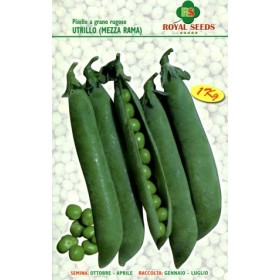 SEMINȚE DE MAZĂRE UTRILLO ÎNCREȚITE KG DE GRÂU. 1