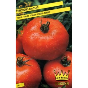 SEMINTE DE TOMATE ACE 55 VF