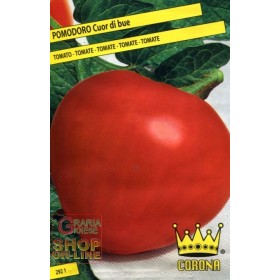 SEMINȚE DE ROȘII DE BOU-CUOR