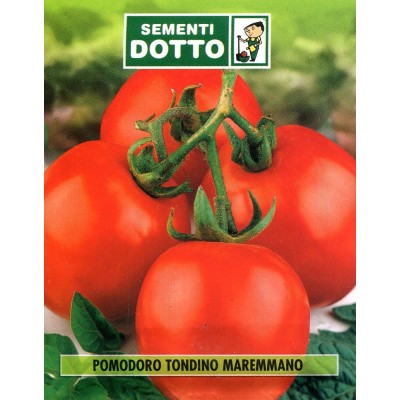 SEMINȚE DE TOMATE MAREMMANO ACCIAIOSO PENTRU CONSERVE