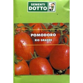 SEMINȚELE DE TOMATE RIO OȚEL MARE PENTRU CONSERVE GR. 50