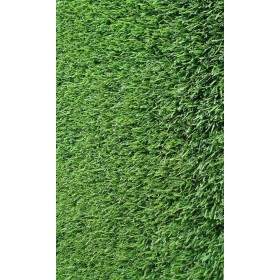 SEMINȚE PRATO GRAMIGNA KG. 1 CYNODON DACTYLON