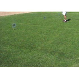 SEMI DI PRATO GRAMIGNA KG. 25 CYNODON DACTYLON