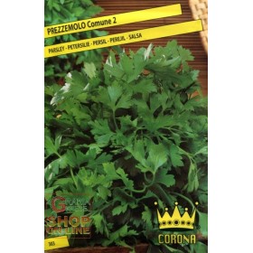 SEMINȚE COMUNE DE PĂTRUNJEL 2