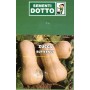 BUTTERNUT SEMINTE DE DOVLEAC GR.500