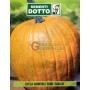 SEMI DI ZUCCA QUINTALE SEME GIALLO