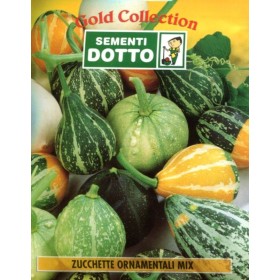 SEMINȚE DE DOVLECEI ORNAMENTALI SEMINȚE DE DOVLECEI ORNAMENTALI