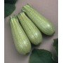 SEMI DI ZUCCHINO CLARITA F1 LB. 1 GR. 454