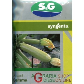 SEMINTE DE DOVLECEI HF1 CARISMA DIN 20 DE SEMINTE