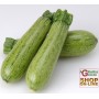 SEMI DI ZUCCHINO MARROW GREYZINI IBRIDO F1