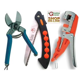 SET DUE BUOI PENTRUBICAM DUBLU TAGLIO ȘI FERĂSTRĂU ȘI MAȘINI DE ALTOIRE SET DUE BUOI PENTRUBICAM DUBLU TAGLIO ȘI FERĂSTRĂU ȘI MAȘINI DE