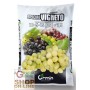 SPECIAL VIGNETO CONCIME ORGANO MINERALE NPK 10.5.15 KG. 25