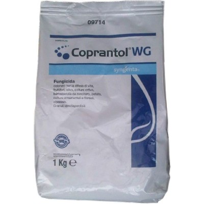 SYNGENTA COPRANTOL WG KG. 1 OSSICLORURO DI RAME 32%