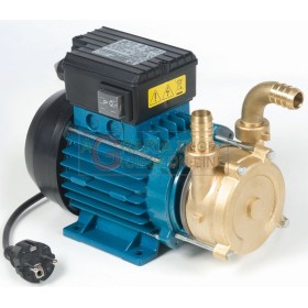 TELLARINI POMPA ELECTRICA DE LA TRAVAASA CEVA CU MANIGLIA HP