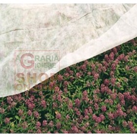 ANTIGELSAU TNT TESATURA NEȚESUTĂ 2,4 X 10