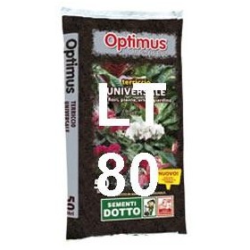 TERRICCIO LT. 80 DOTTO TERRICCIO LT. 80 DOTTO