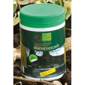 VERDE VIVO RAPID ORMON ORMONE RADICANTE GR. 100 VERDE VIVO RAPID ORMON ORMONE RADICANTE GR. 100