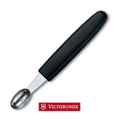 VICTORINOX SCAVINO OVALE MANICO NERO 7.6173