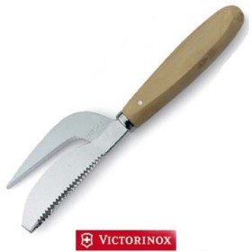 VICTORINOX SQUAMAVITECAILLE FISH VICTORINOX SQUAMAVITECAILLE FISH
