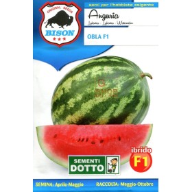 BISON OBLA HYBRID SEMINȚE DE PEPENE VERDE F1 BISON OBLA HYBRID SEMINȚE DE PEPENE VERDE F1