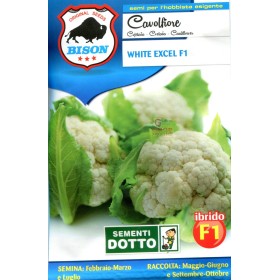 BISON SEMI DI CAVOLFIORE WHITE EXCEL IBRIDO F1 BISON SEMI DI CAVOLFIORE WHITE EXCEL IBRIDO F1