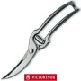 VICTORINOX TRINCIAPOLLI INOX GAZZELLA